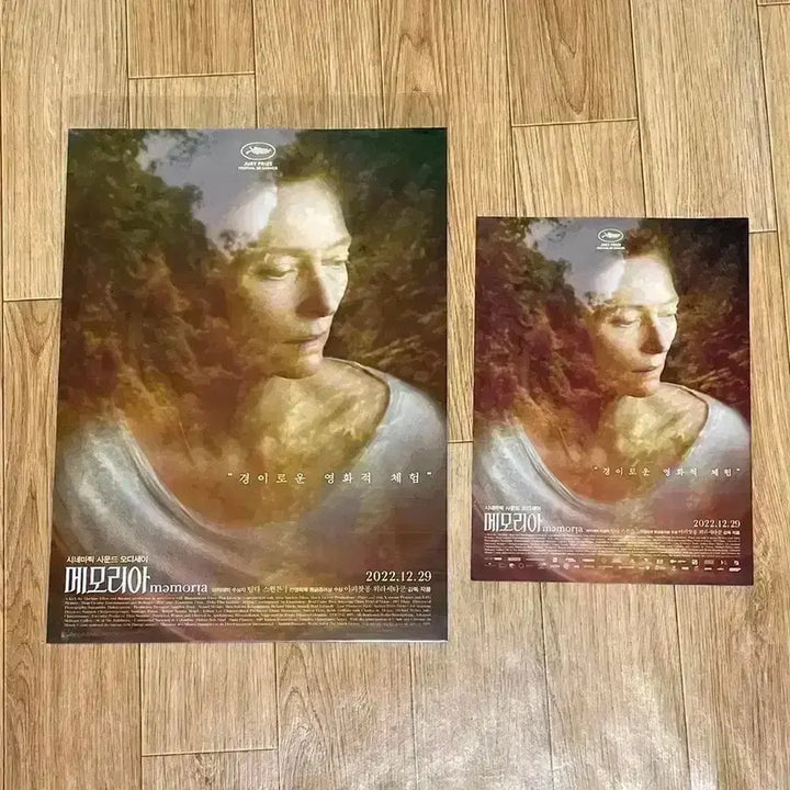 [BUNJANG] I Am Love Re-release Poster - Emma, Luca Guadagnino, Challengers Director, Tilda Swinton / 아이엠러브 재개봉 포스터 엠마 루카구아다니노 챌린저스감독 영화 틸다스윈튼