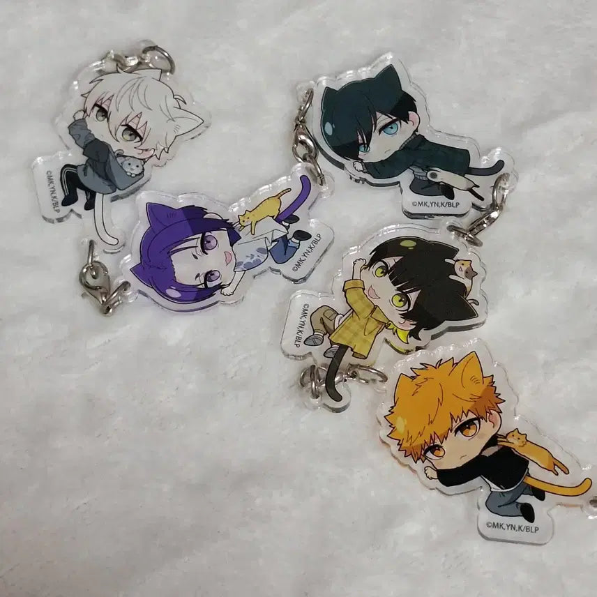 [BUNJANG] Blue Lock Cat Acrylic Keyring Bundle Set / 블루록 고양이 아크릴 키링 나기 레오 린 바치라 쿠니가미