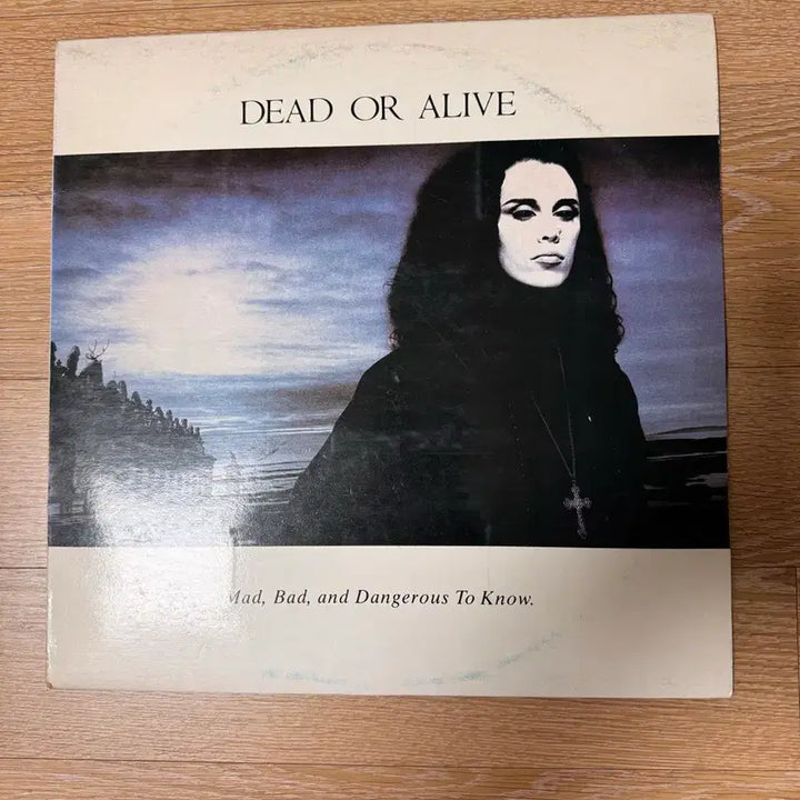 [BUNJANG] Dead or Alive Mad Bad and Dangerous To Album / Dead or Alive - Mad Bad and Dangerous to