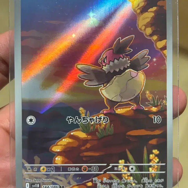 [BUNJANG] Various Pokemon Cards Bundle / 일판 메가 루차불 ma 및 ar 무우마 고래왕 꼬지모 등등 일괄판매