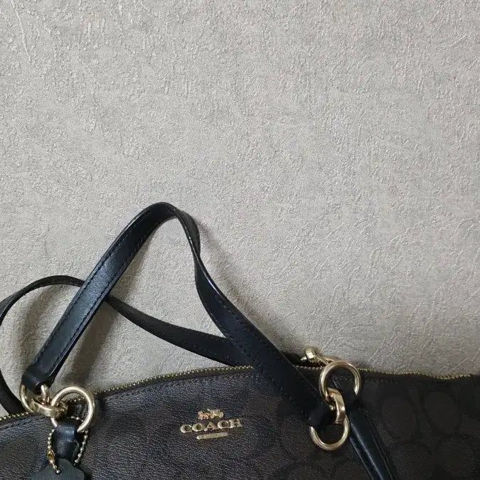 [BUNJANG] Coach Shoulder/Crossbody/Tote Bag / 코치가방