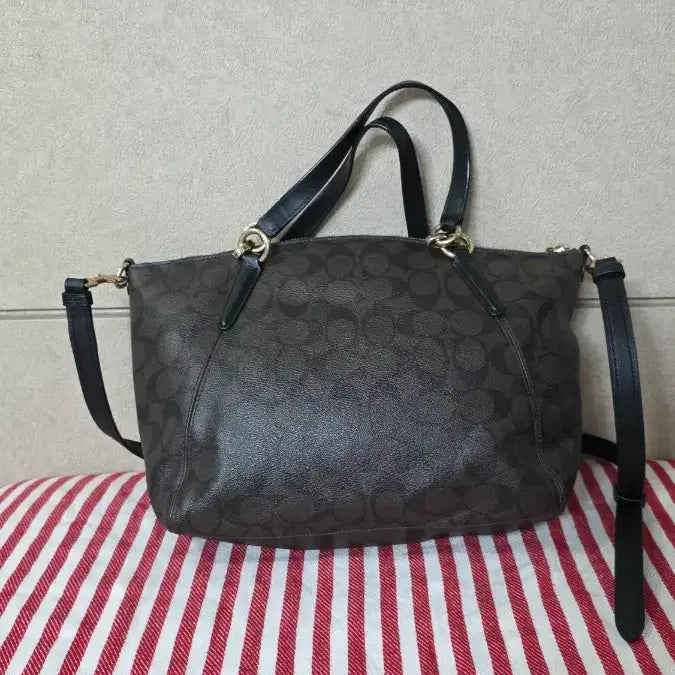 [BUNJANG] Coach Shoulder/Crossbody/Tote Bag / 코치가방