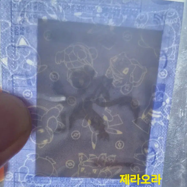[SOLD OUT] 포켓몬 띠부씰 30주년과 각종 다른시즌 일괄 급처 미개봉