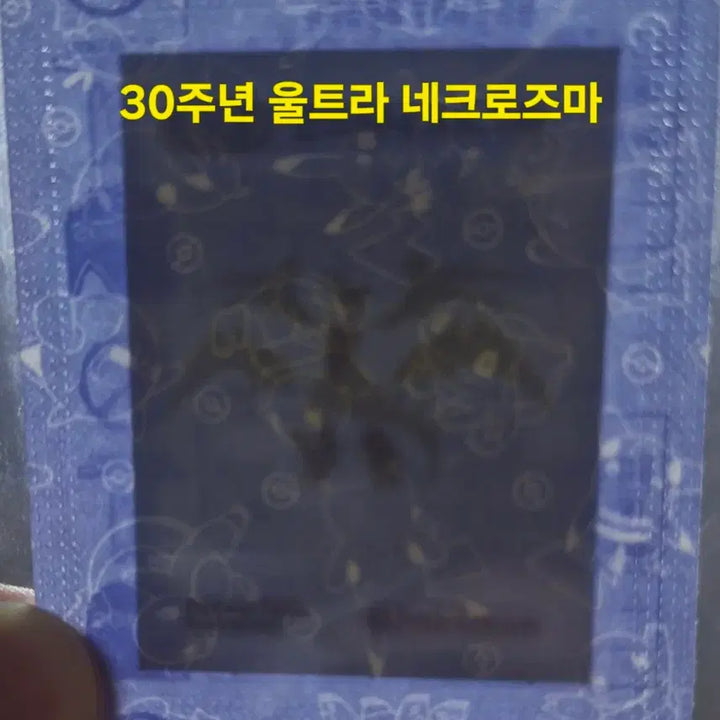 [SOLD OUT] 포켓몬 띠부씰 30주년과 각종 다른시즌 일괄 급처 미개봉