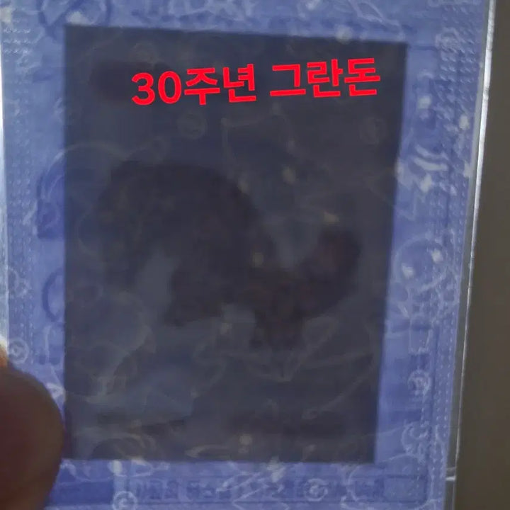 [SOLD OUT] 포켓몬 띠부씰 30주년과 각종 다른시즌 일괄 급처 미개봉