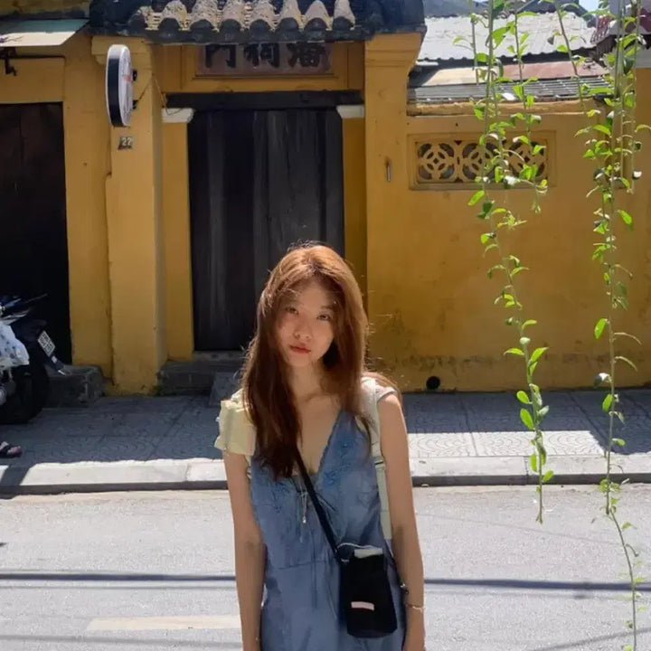 [BUNJANG] ZARA Mini Embroidered Dress / 자라 미니 자수 원피스