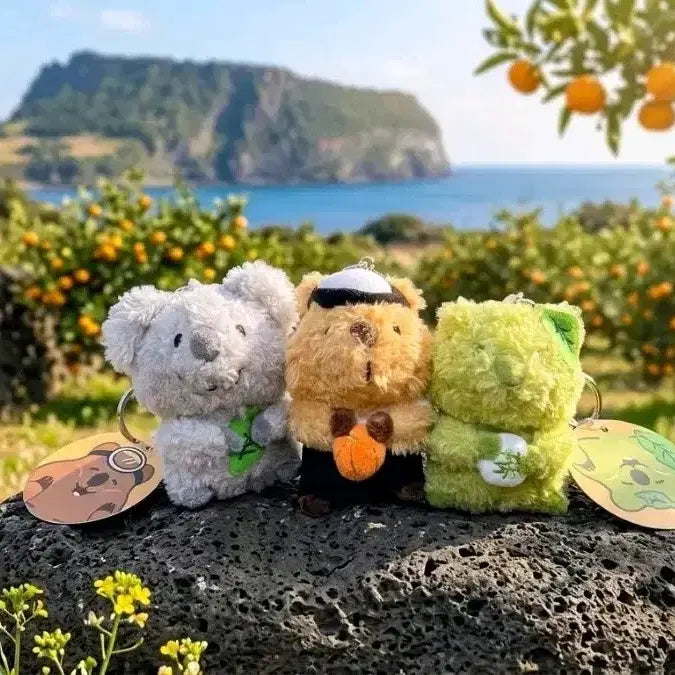 [BUNJANG] Jeju Island Quokka 3-Piece Keyring Bundle Set / 제주도 쿼카 3종키링(새상품)일괄
