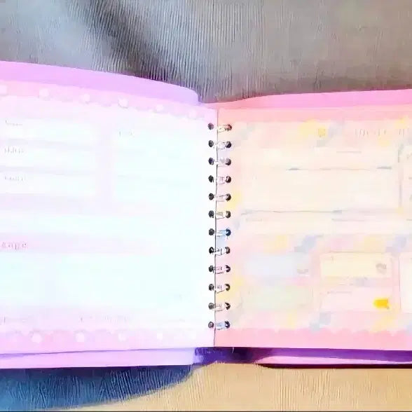 [BUNJANG] Little Twin Stars Diary &amp; Notebook Set / 리틀트윈스타 다이어리, 키키라라 다이어리, 리틀트윈스타 노트