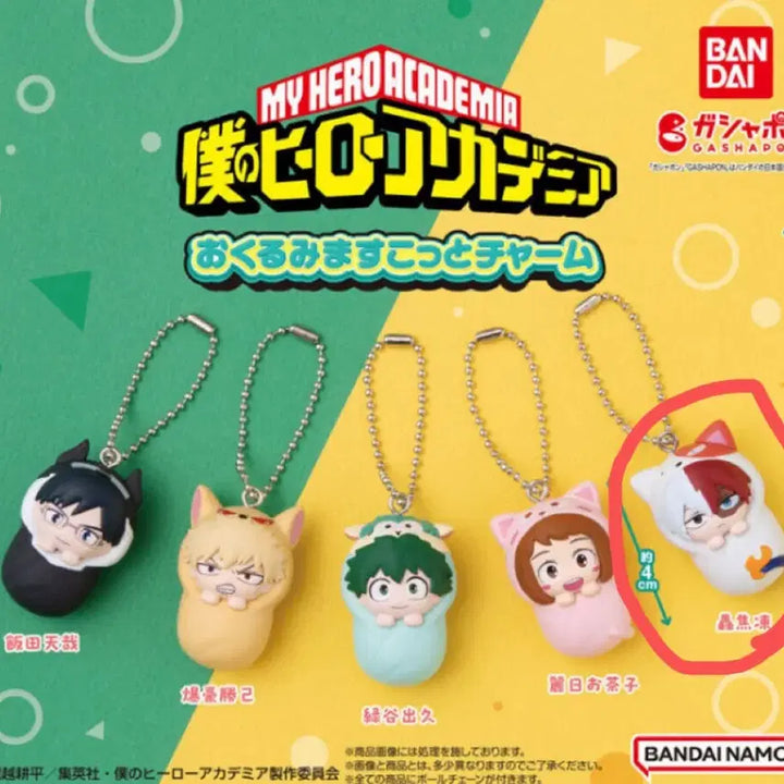 [BUNJANG] My Hero Academia Shoto Blanket Gacha / 나의 히어로 아카데미아 포대기 가챠 쇼토