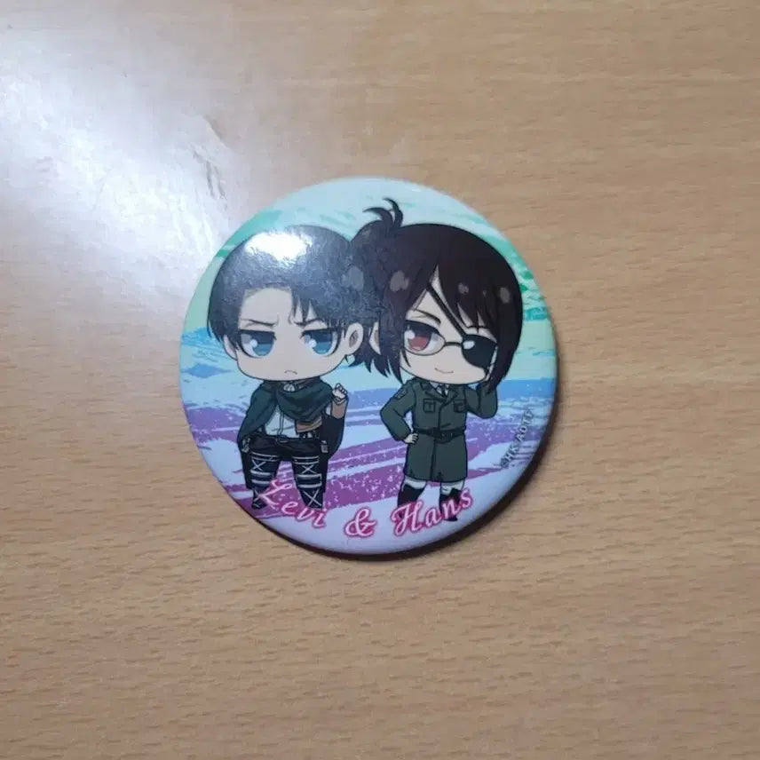 [BUNJANG] Attack on Titan Badge / 진격의거인 뱃지