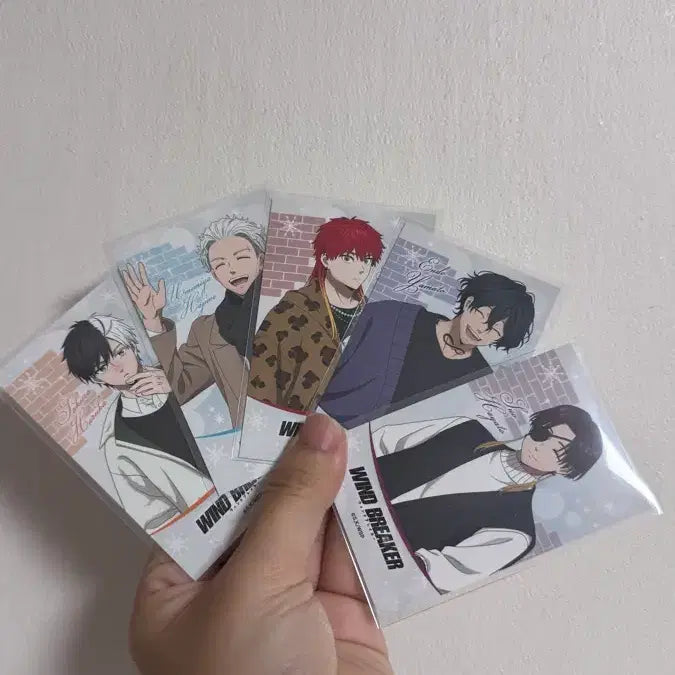 [BUNJANG] Wind Breaker Winter Ver. Trading Cards / 공식) 윈드브레이커 윈브레 트레카 겨울ver.