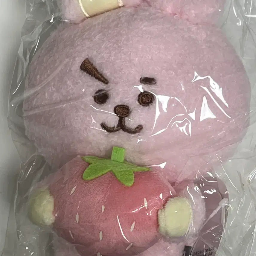 [SOLD OUT] BT21 일본 Cooky 쿠키 딸기 인형 정국