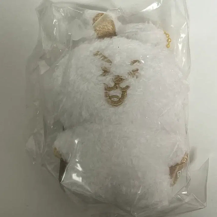 [BUNJANG] BT21 Cooky Gold Mascot Plush Doll / BT21 일본 한정 쿠키 마스코트 인형 골드 cooky