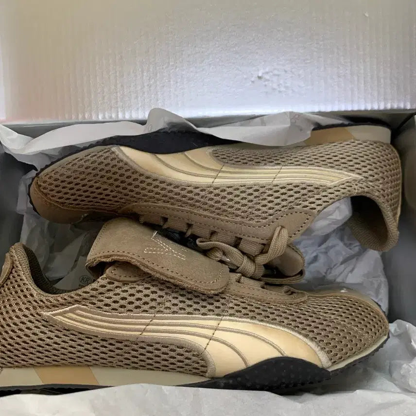 [BUNJANG] Puma x Open Y Y Beige Sneakers / 푸마x오픈와이와이 신발