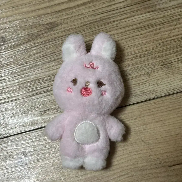 [BUNJANG] DAY6 Petitmalz Pil Plush / 데이식스 쁘띠멀즈 필