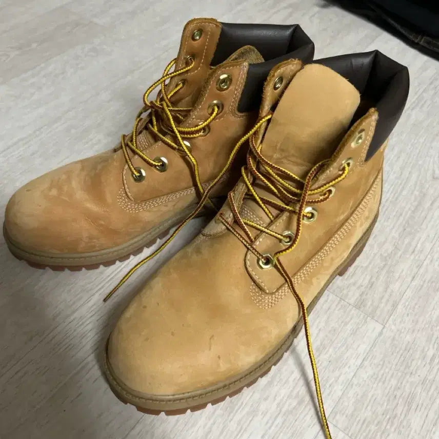 [BUNJANG] Timberland 6-Inch Waterproof Boots (Size 240) / 팀버랜드 6인치 워터프루프 부츠 240