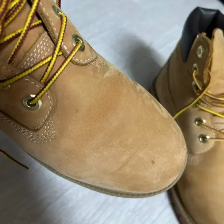 [BUNJANG] Timberland 6-Inch Waterproof Boots (Size 240) / 팀버랜드 6인치 워터프루프 부츠 240