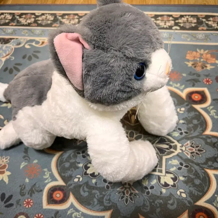 [BUNJANG] 리얼 모방 고양이 봉제인형 회색 새상품 / 리얼 모방 고양이 봉제인형 회색 새상품