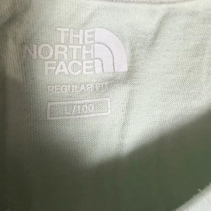 [BUNJANG] The North Face Mint Logo T-shirt L / 노스페이스 민트 로고 반팔티 L