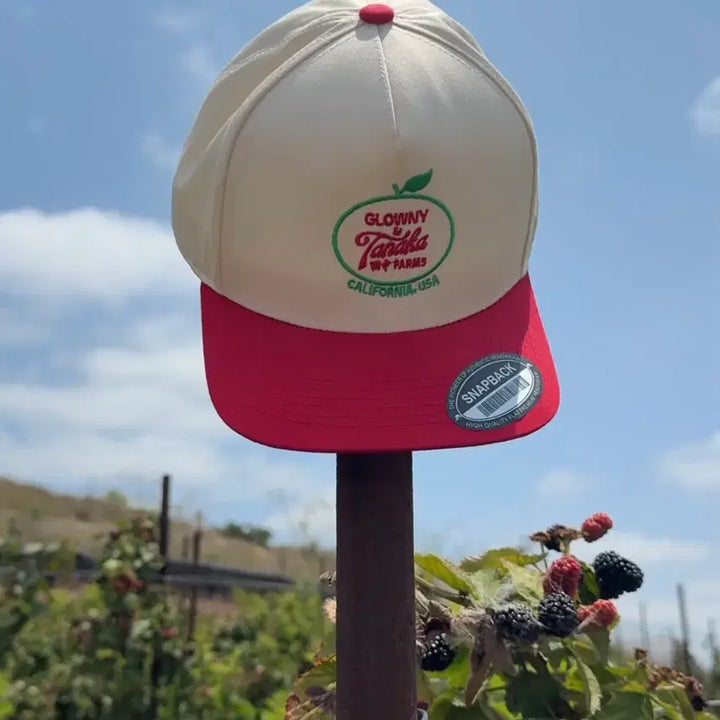 [BUNJANG] Glowny Tanaka Farms Ball Cap Hat / [당일발송] 글로니 타나카 팜스 Tanaka Farms 볼캡 모자 새상품