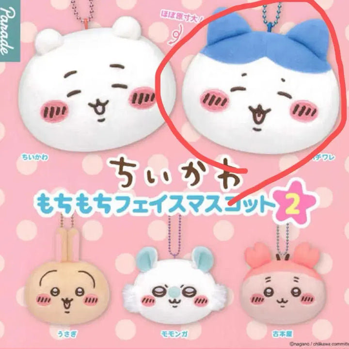 [BUNJANG] Chiikawa Hachiware Mochi Face Plush Toy / 치이카와 하치와레 가챠 누이 모찌모찌 페이스