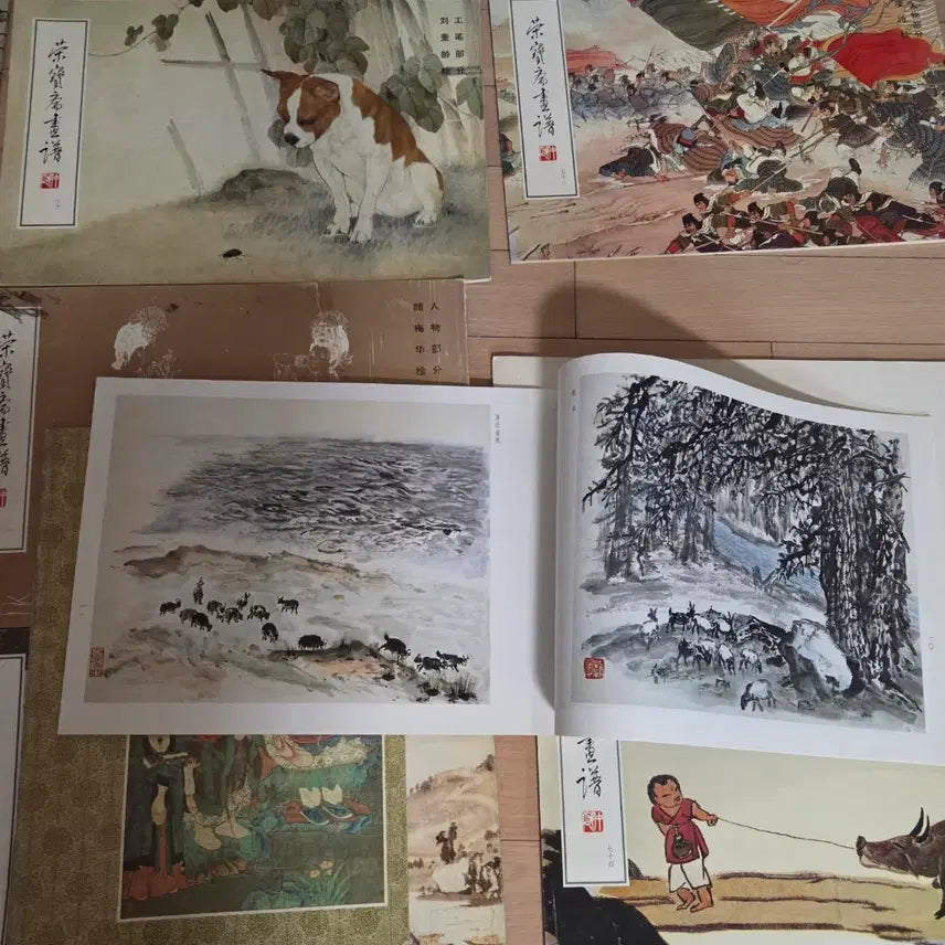 [BUNJANG] Chinese Painting Album Set (10 Volumes) / 중국화 화첩 세트 10권