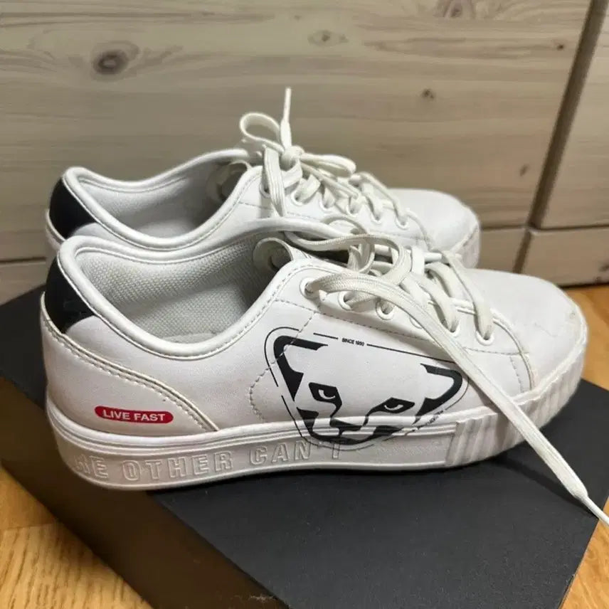 [BUNJANG] Dynafit Sneakers / 다이나핏 운동화