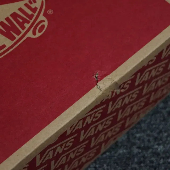 [BUNJANG] Vans Half Cab Pro Lizard Sneakers / (240)(마지막한점) 반스 하프캡 프로 2020 리자드