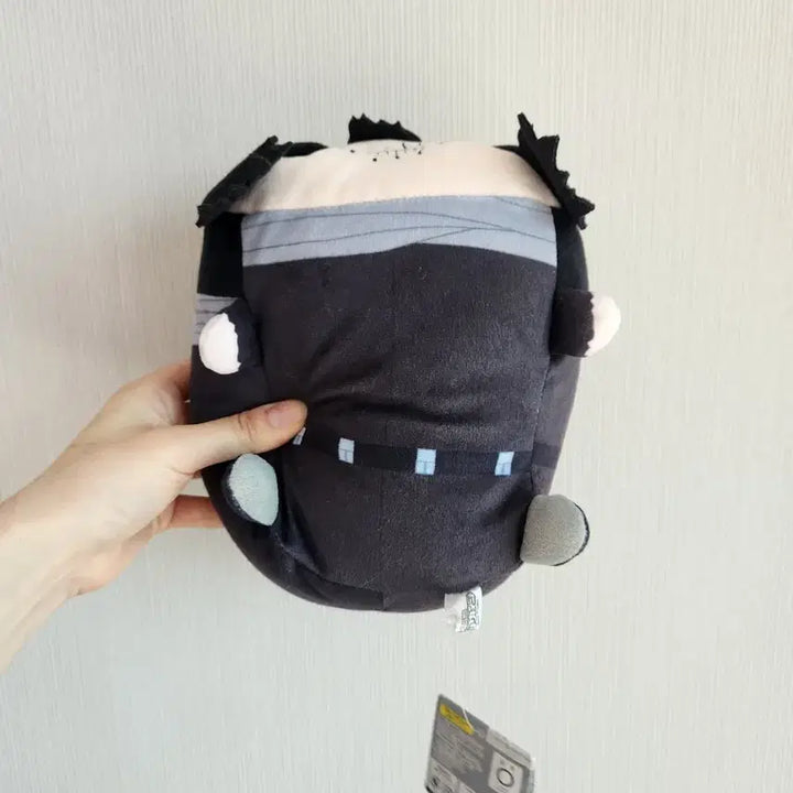 [BUNJANG] My Hero Academia Aizawa Shota Potekoro M Size Plush / 나의히어로아카데미아 아이자와쇼타 포테코로 M size
