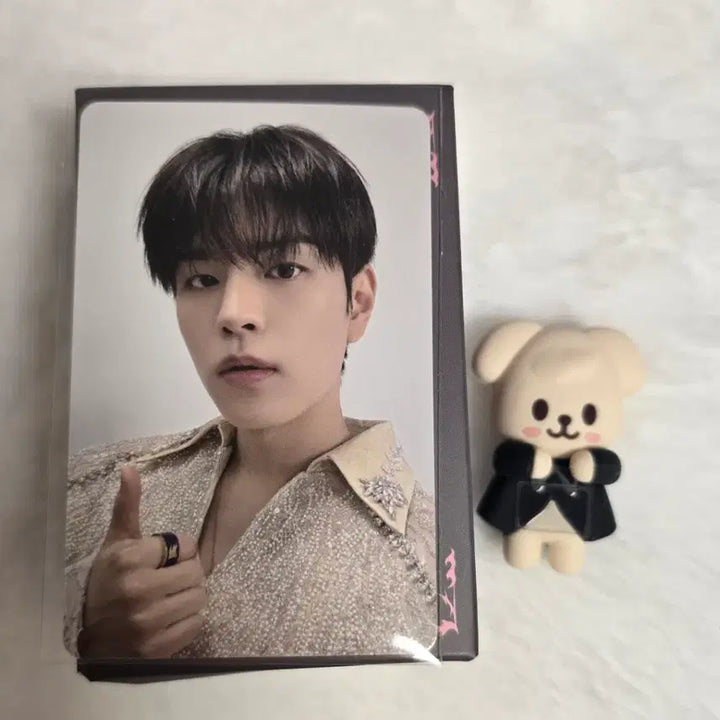 [BUNJANG] Stray Kids Skzoo Do It Popup Puppet Hyperpuff / 스키즈 스키주 두잇 팝업 퍼핌 히퍼 do it