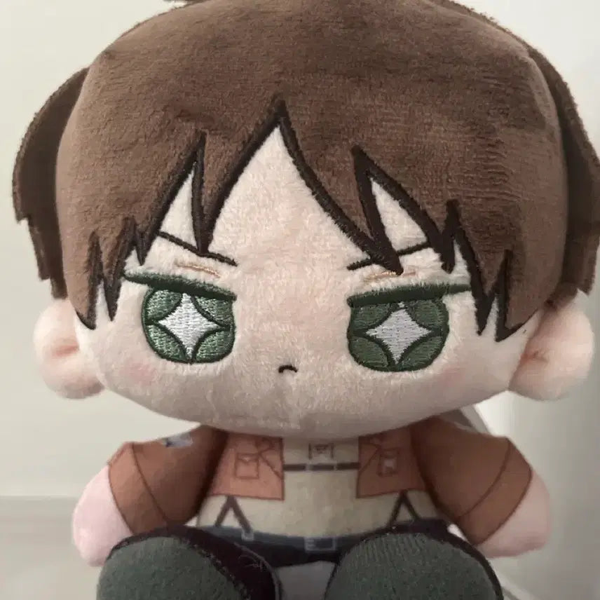 [BUNJANG] Attack on Titan Eren Tapestry / 진격의 거인 에렌 타피누이