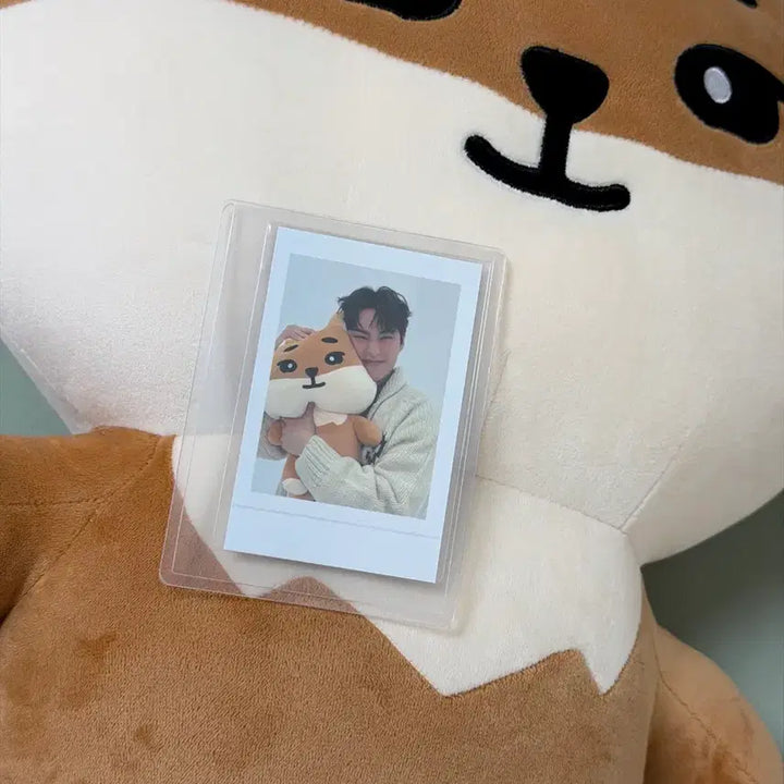 [SOLD OUT] 데이식스 자이언트 데니멀즈 케