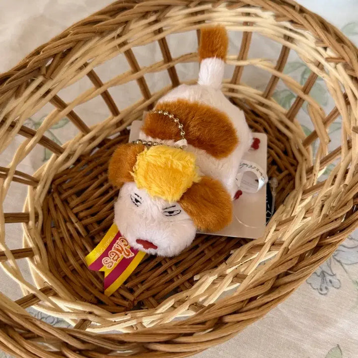 [BUNJANG] Ghibli Park Hinn Keyring / 지브리파크 힌 키링