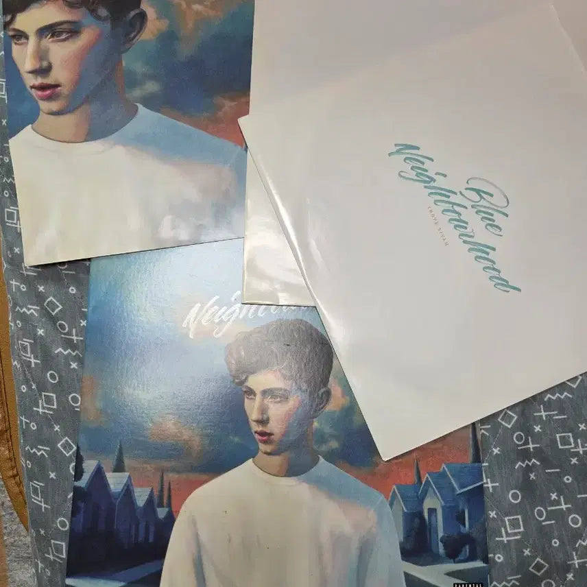 [SOLD OUT] 트로이 시반 Blue Neighbourhood LP 음반