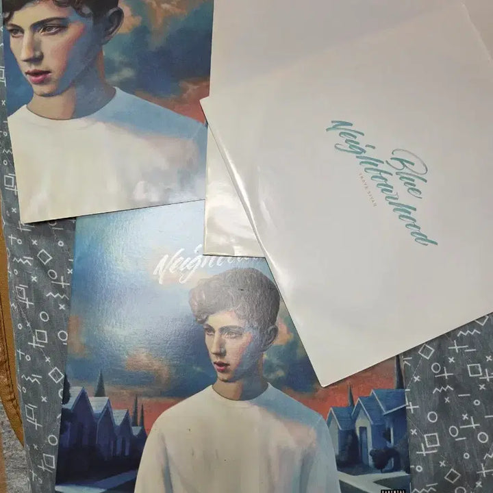 [SOLD OUT] 트로이 시반 Blue Neighbourhood LP 음반