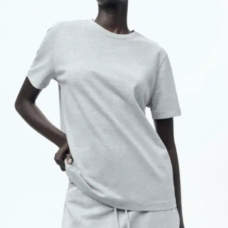 [BUNJANG] ZARA Gray Short Sleeve T-shirt / 자라 회색 반소매 티셔츠