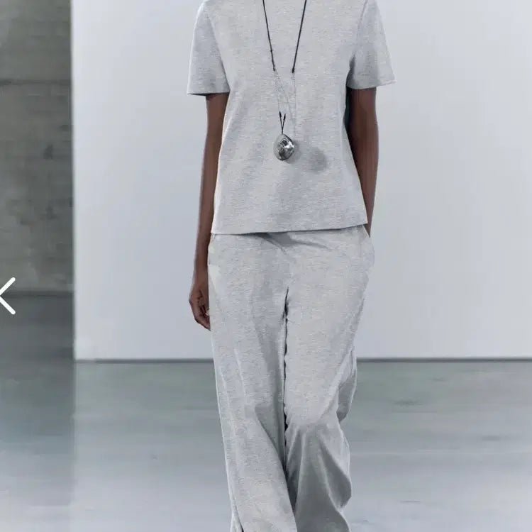 [BUNJANG] ZARA Gray Short Sleeve T-shirt / 자라 회색 반소매 티셔츠