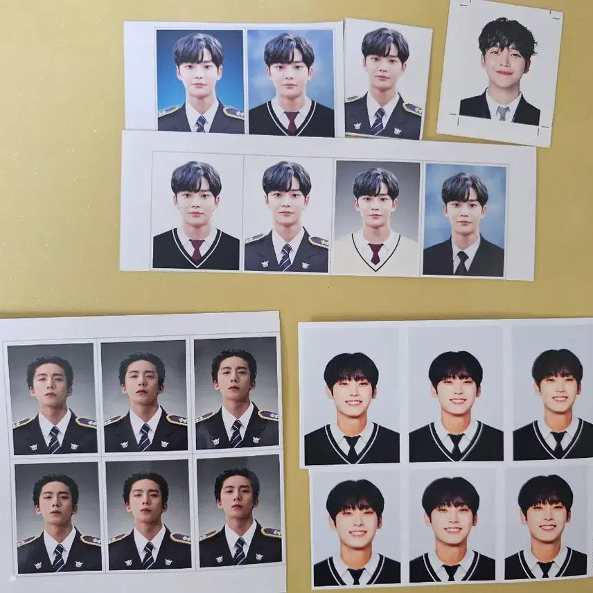 [BUNJANG] SF9 Photo ID / SF9 증명사진 판매