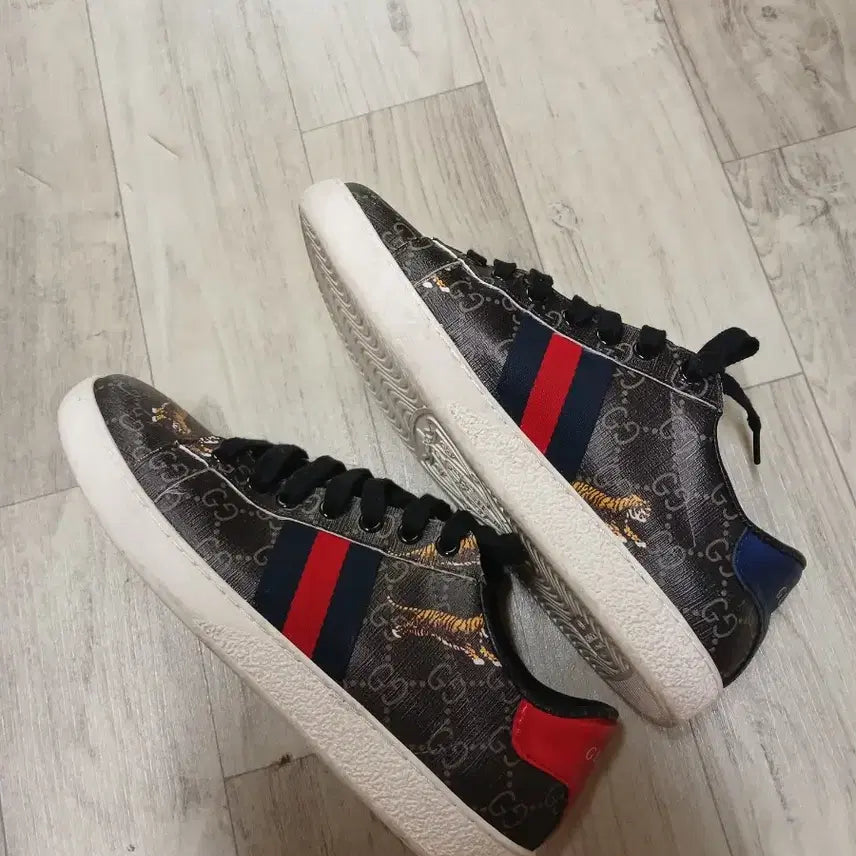 [SOLD OUT] 구찌 타이거 스니커즈