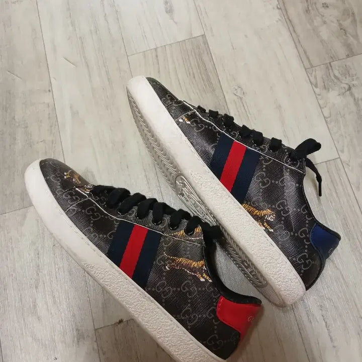 [SOLD OUT] 구찌 타이거 스니커즈