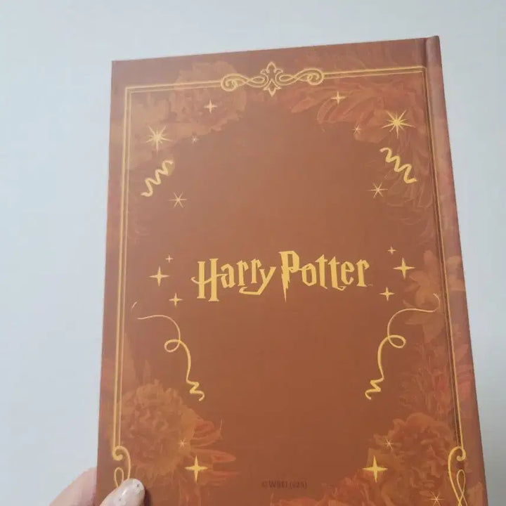 [BUNJANG] Harry Potter Hufflepuff Diary Note / [해리포터] 중국 쿠지 E상 후플푸프 다이어리 노트