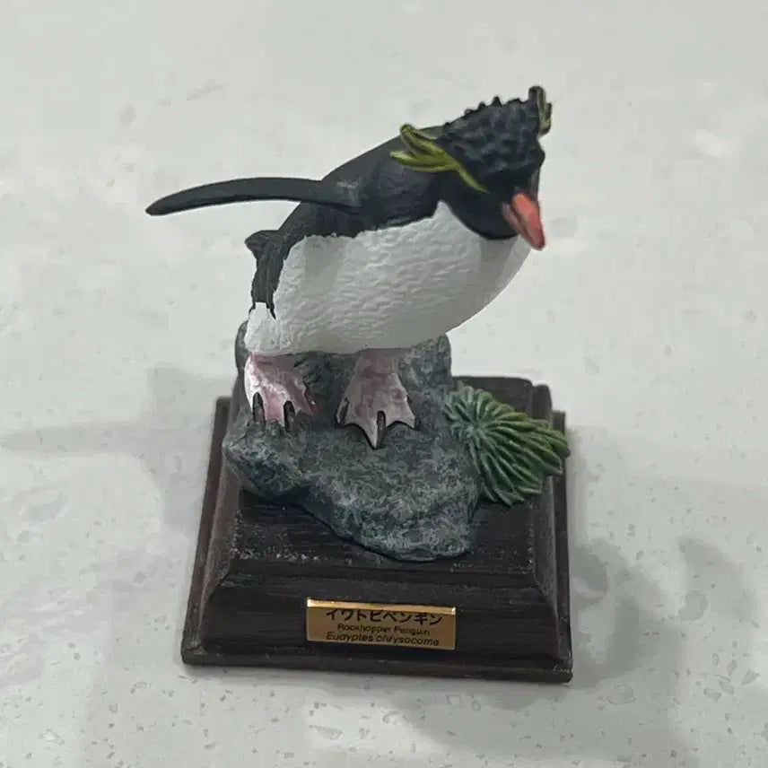 [BUNJANG] Gidam Club Nature Technical Color Antarctic Series Rockhopper Penguin Figure / 기담클럽 네이쳐테크니컬러 남극 시리즈 이와토비펭귄(바위뛰기펭귄)