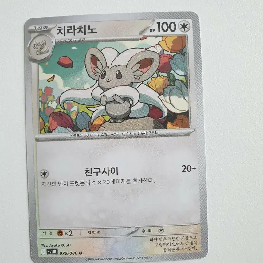 [BUNJANG] Pokemon Card Chirachino / 포켓몬카드 치라치노