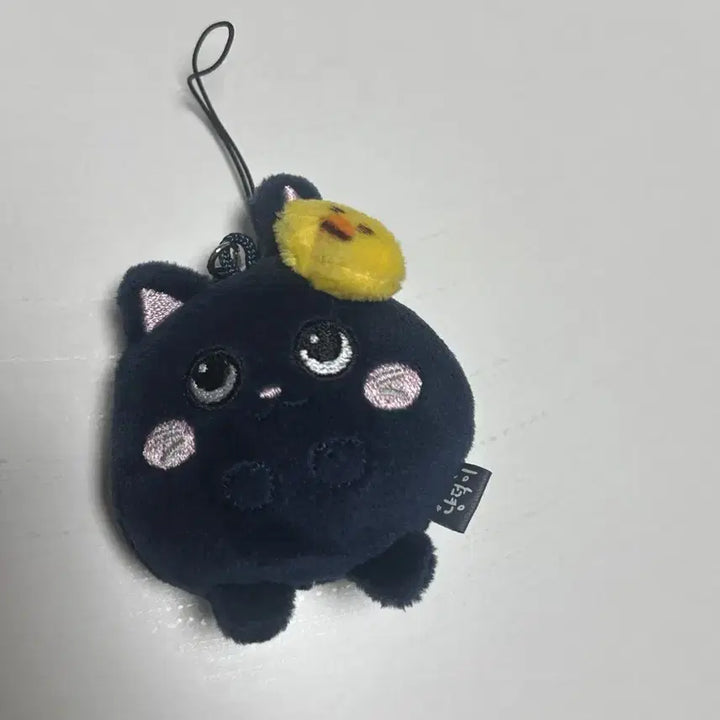 [SOLD OUT] 라이즈 원빈 미니 토냥덕 인형