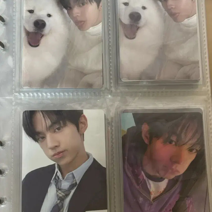 [BUNJANG] TWS Dohun Bundle Set Photocard / 투어스 도훈 포카 일괄 판매
