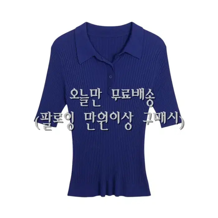 [BUNJANG] Songzio Ribbed Collar Knit T-Shirt BL / 여성66 / 송지오 골지 카라 니트 티셔츠BL 26-120