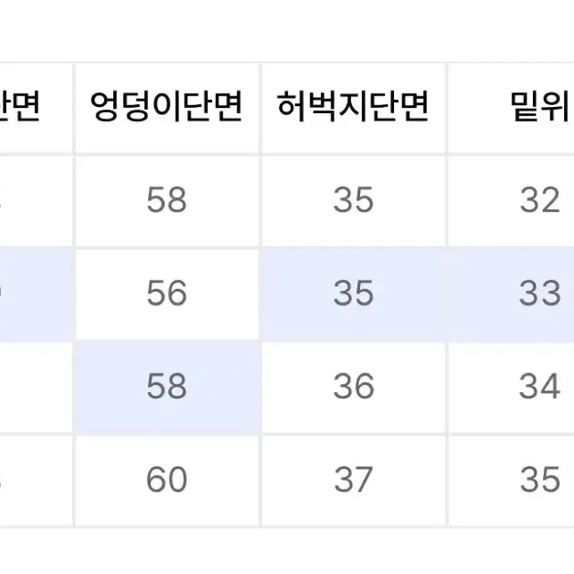 [BUNJANG] L Anothercode Lizard Denim Pants (Black) / L 어널러코드 리자드 데님팬츠 흑청