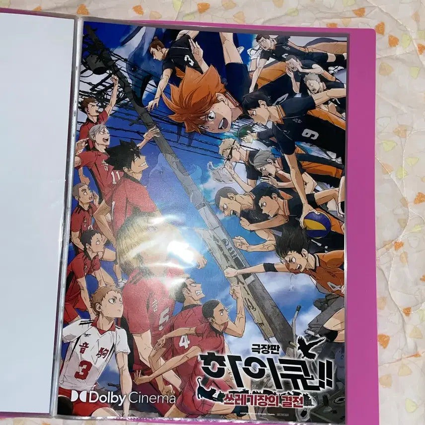[BUNJANG] Haikyu The Movie: Decisive Battle at the Garbage Dump Poster / 극장판 하이큐 쓰레기장의 결전 포스터 양도