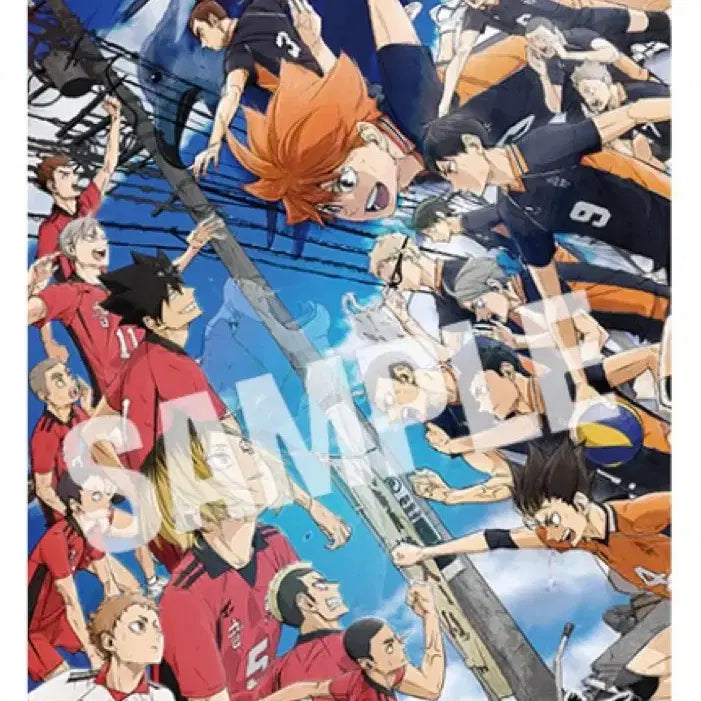 [BUNJANG] Haikyu The Movie: Decisive Battle at the Garbage Dump Poster / 극장판 하이큐 쓰레기장의 결전 포스터 양도