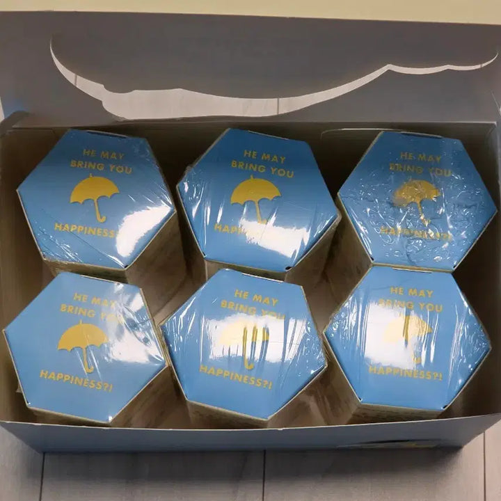 [SOLD OUT] 소니엔젤 레이니데이 시리즈 6종 비닐 미개봉
